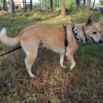 AF1QipPTtjp3A0ERKyW0XwOpoj 58robv0I2jgbrBh6ew408 h306 k no