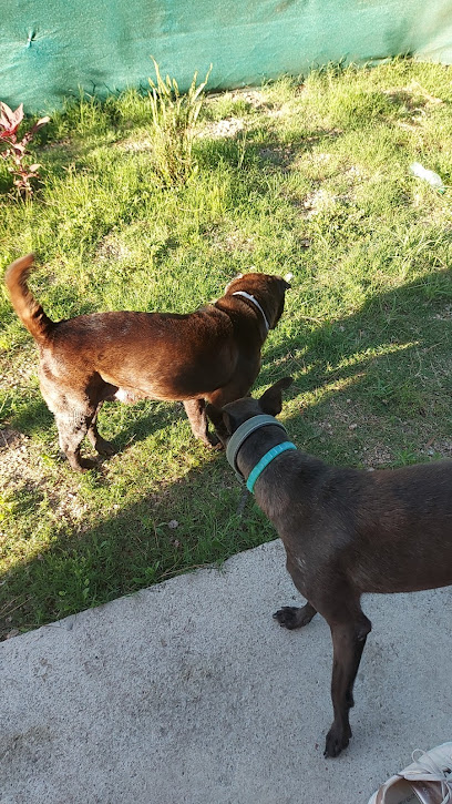 AF1QipPV9wC PbhNPliNt8DXV9UaOk6vYLdqEIz9brn6w408 h725 k no