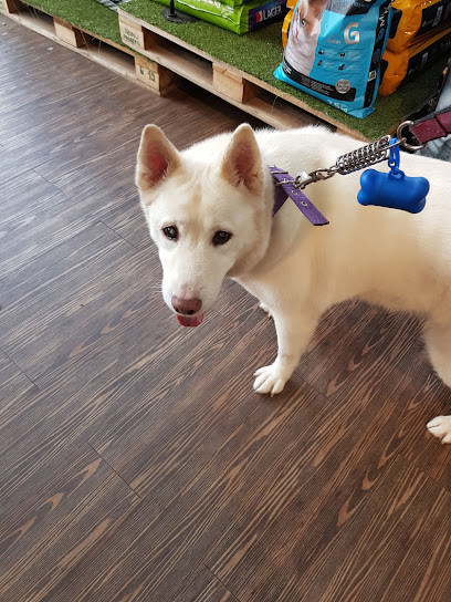 AF1QipPVwQWkEGjqzUsgGZTN7VLbCk u93Blit5n01CIw408 h544 k no