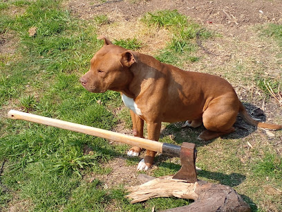 AF1QipPWLGGGzyxWnT GcbB3EbHjiN2YSP1kftoEAKdPw408 h306 k no