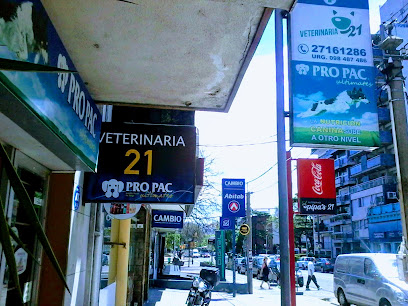 AF1QipPYImCinXe9wxu98Est1 EWTzAlH6n5Gx WdDQw408 h306 k no