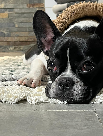 AF1QipPZp2Pe9RwsNhE8WU6dqfod O4170CGbudgieyVw408 h539 k no