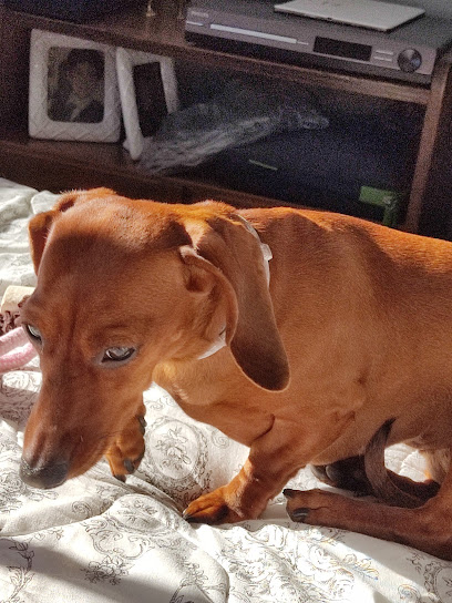 AF1QipPZuHc9yciwjOgB 7Ntw5ETtBrbVmqH4b SI6Asw408 h544 k no