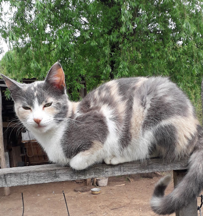 AF1QipPbZrACgFtYSzMSNKHenDcH75xeNyFKiLAjyGFsw408 h433 k no