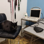 AF1QipPcKP6jdRXnIBp71gp8p2MxM6XvwfRypNuqvpj9w408 h306 k no