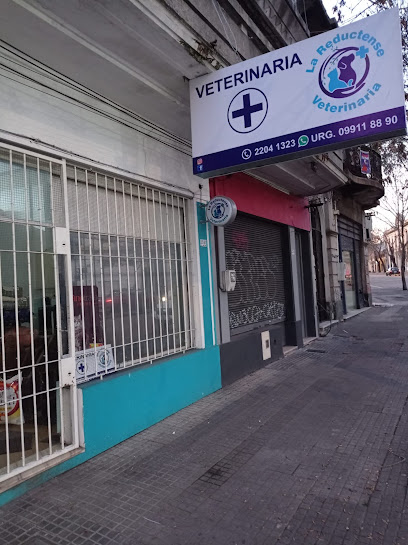 AF1QipPcWUkWDBTLnXZuvpK16KK3tU9OKex9zqN7pRnOw408 h545 k no