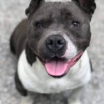 AF1QipPcZ8vsl9LrCoFOtyc8QfNZA1TEJ7IXGe4iyhIJw408 h544 k no