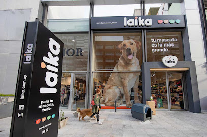 AF1QipPcoEPm GTF d3brFcIVWVJJtQj3M6jhQQiaGPNw408 h271 k no