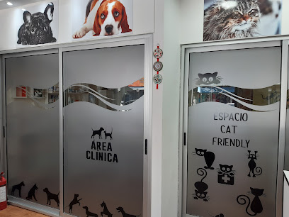 AF1QipPf6G5 sE5hV5cm2bDnTdo EMaG 2VkbucK298w408 h306 k no