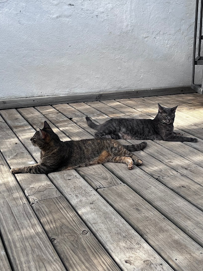 AF1QipPfiN3RcKMb31NLH2QqedgccM8RKIubU XuGR7Fw408 h544 k no