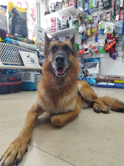 AF1QipPgI0gP5yL3ZC5uM 7EB 2aWlweT21L5TmCHmYew408 h544 k no