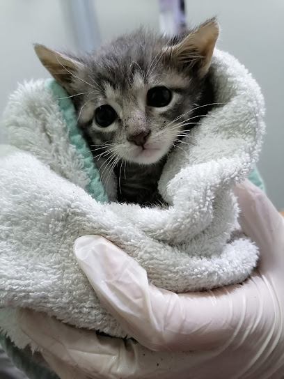 AF1QipPiCh2ZdG05xbd etXHRmgaqm1VXqB3v2oiFm2ew408 h544 k no