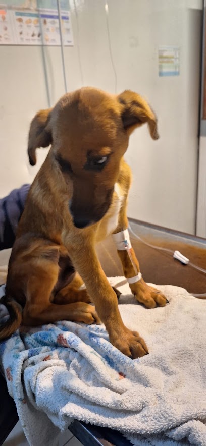 AF1QipPk4FdRAfeJvoh 9I4B F 64bh1rEzrN3q2m3xEw408 h884 k no