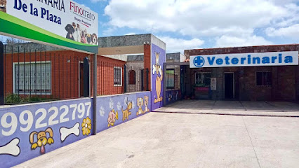 AF1QipPkr4zuTCh61bL RX fXnFF2 8iYW1cUDi5iTjNw426 h240 k no