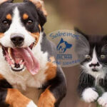 AF1QipPoRRbBTu4jfrsp2k 13URSmbfoTaECKX oyu96w492 h240 k no