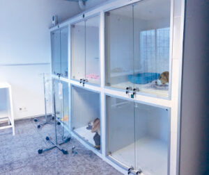 Bienvenidos a Veterinarias Uruguay com – El Mejor Sitio de Veterinarias en Uruguay 32 VEA (Veterinarios en Acción) / URGENCIAS - Montevideo