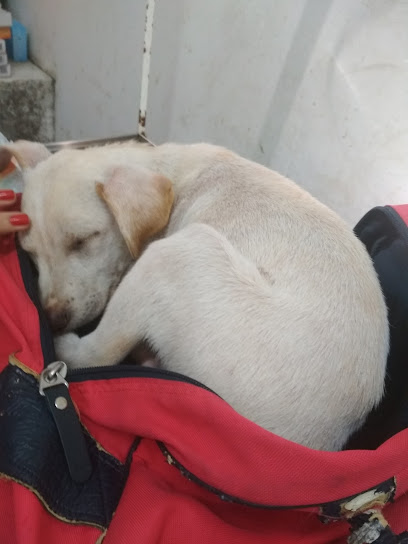 AF1QipPpnjjq0wqyWqQr8t2cRFFQEkeX0rvkHNnu6rBPw408 h544 k no