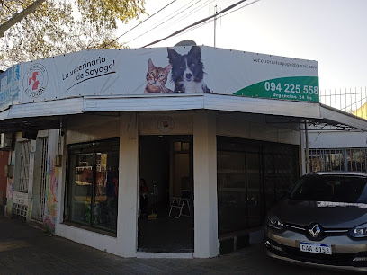 AF1QipPuaZd0TwOlorYCTzc18tRwKwCJtvVW3gBKed5mw408 h306 k no