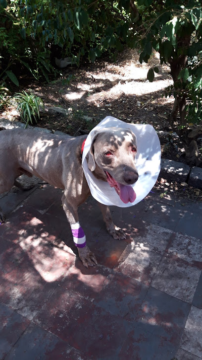 AF1QipPyL7646MpLPmCc9KMrpZymcMbz vmza3b YMOOw408 h725 k no