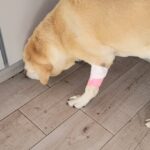 AF1QipPzLNHSJ0iEVixqfNe7GlYPSzAi4upKMxpLEYqFw408 h905 k no