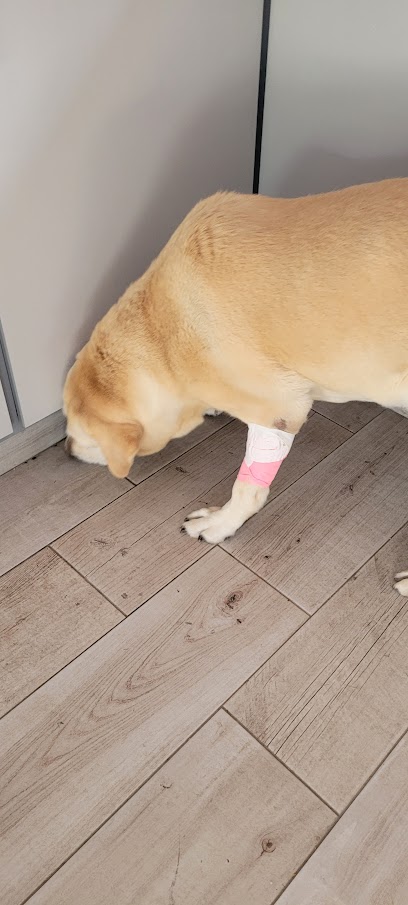 AF1QipPzLNHSJ0iEVixqfNe7GlYPSzAi4upKMxpLEYqFw408 h905 k no