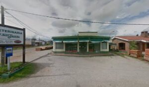 Veterinaria Tala - Tala